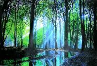 Bright Light In Dark Wood - Acrylic On Gallery Canvas Paintings - By Marie-Line Vasseur, Realism Painting Artist
