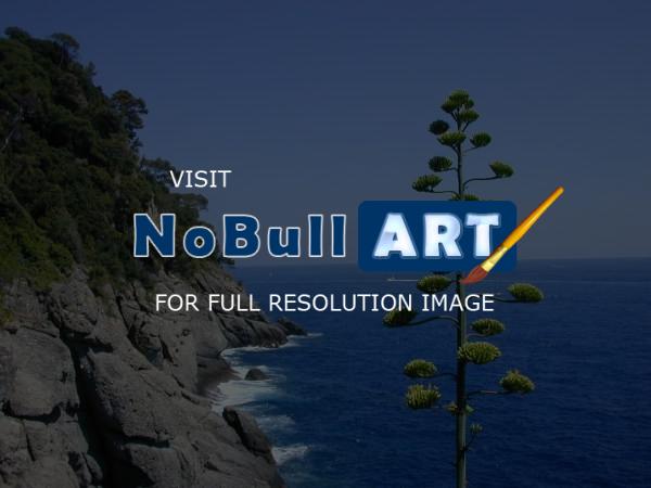 Nature - Cliff Side - Digital